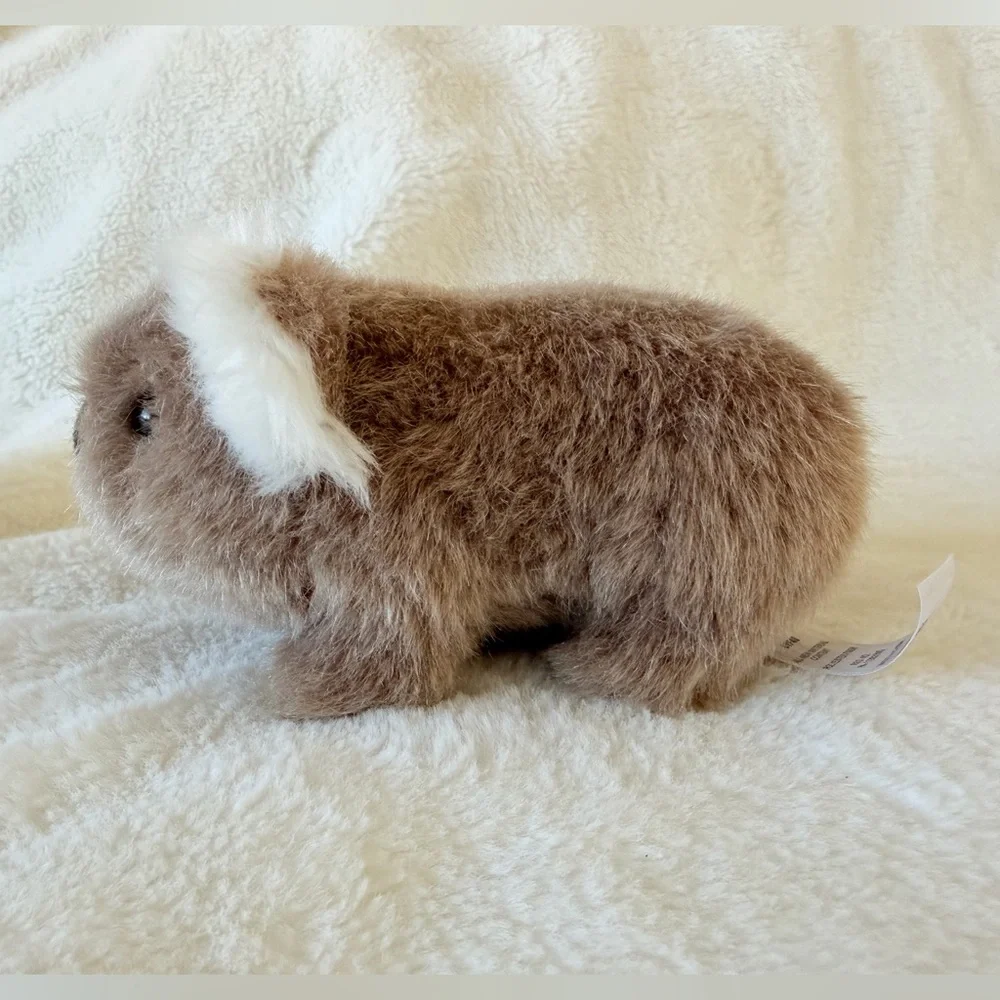 American Girl Kira Bailey Koala Plush Toy - Girl of the Year 2020/2021 - Retired - Picture 3 of 9